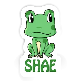 Shae Sticker Frog Image