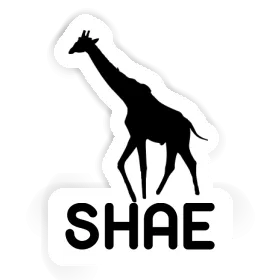 Giraffe Sticker Shae Image