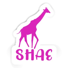 Shae Sticker Giraffe Image