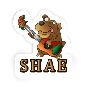 Sticker Gitarrist Shae Image