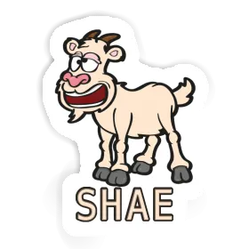 Sticker Goat Shae Image