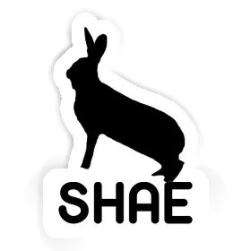 Sticker Rabbit Shae Image