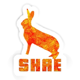 Sticker Shae Rabbit Image