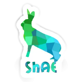 Sticker Shae Rabbit Image