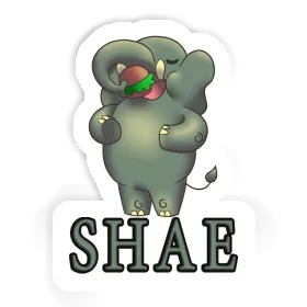 Shae Sticker Elephant Image