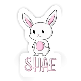 Sticker Shae Rabbit Image