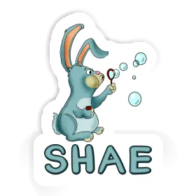 Sticker Soap Bubbles Rabbit Shae Image