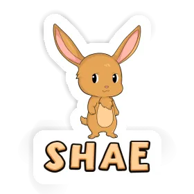 Rabbit Sticker Shae Image