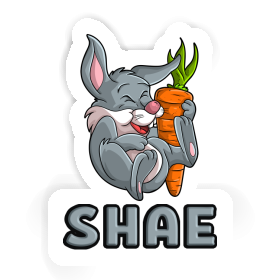 Sticker Shae Easter bunny Image