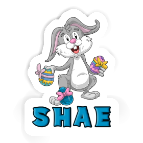 Shae Sticker Easter Bunny Image