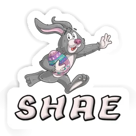 Sticker Rugby rabbit Shae Image