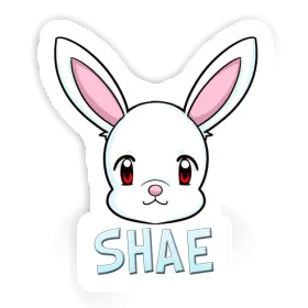 Sticker Rabbit Shae Image