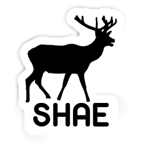 Autocollant Cerf Shae Image