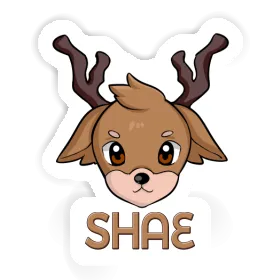 Shae Sticker Deer Image