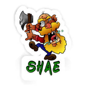 Shae Sticker Forest Ranger Image