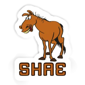 Shae Sticker Horse Image