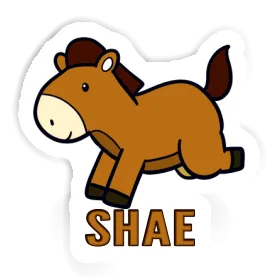 Horse Sticker Shae Image