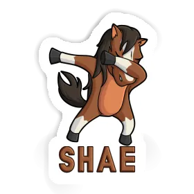 Shae Sticker Horse Image