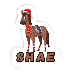 Shae Sticker Horse Image