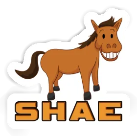 Sticker Shae Horse Image