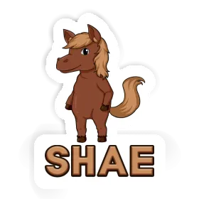 Sticker Shae Horse Image