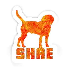 Shae Sticker Hund Image