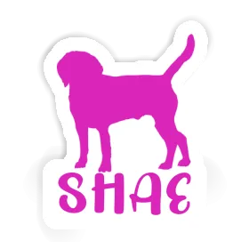 Shae Sticker Hund Image