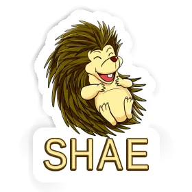 Sticker Hedgehog Shae Image