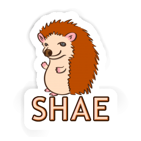 Sticker Hedgehog Shae Image