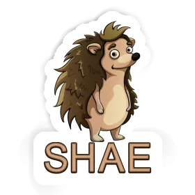 Sticker Standing Hedgehog Shae Image