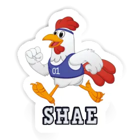 Sticker Jogger Shae Image