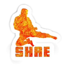 Karateka Sticker Shae Image