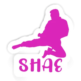 Sticker Shae Karateka Image