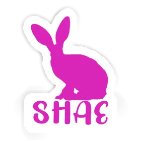 Sticker Rabbit Shae Image