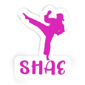 Sticker Karateka Shae Image