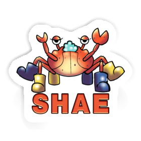 Shae Sticker Crab Image