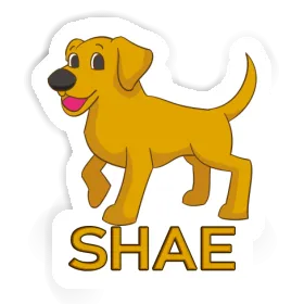 Aufkleber Shae Hund Image