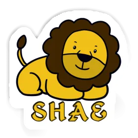 Sticker Shae Lion Image