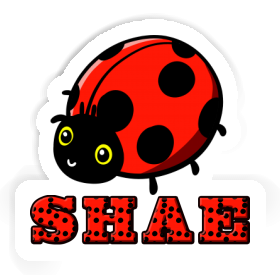 Shae Sticker Marienkäfer Image