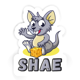 Sticker Shae Mouse Image