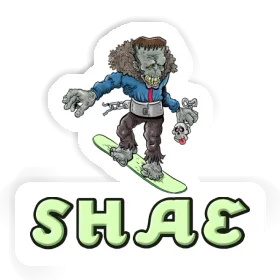 Shae Sticker Boarder Image