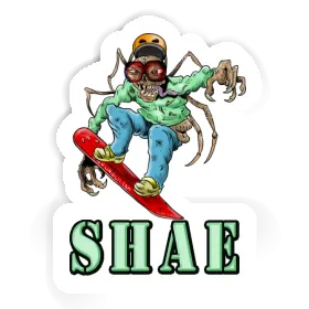 Snowboarder Sticker Shae Image