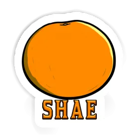 Autocollant Orange Shae Image