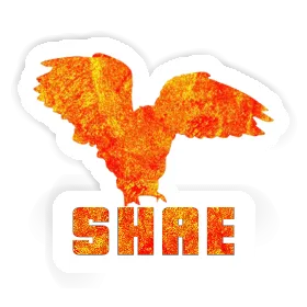 Shae Sticker Eule Image