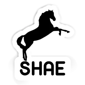 Horse Sticker Shae Image