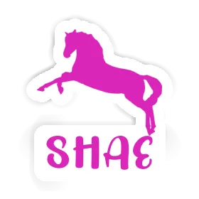 Sticker Shae Horse Image