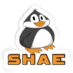 Fat Penguin Sticker Shae Image