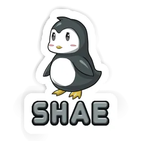 Penguin Sticker Shae Image