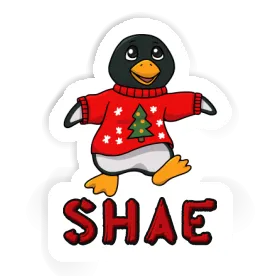 Sticker Shae Penguin Image