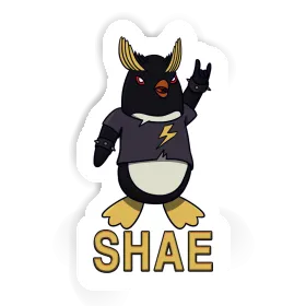 Shae Sticker Rocking Penguin Image